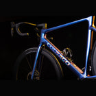 Colnago V4Rs